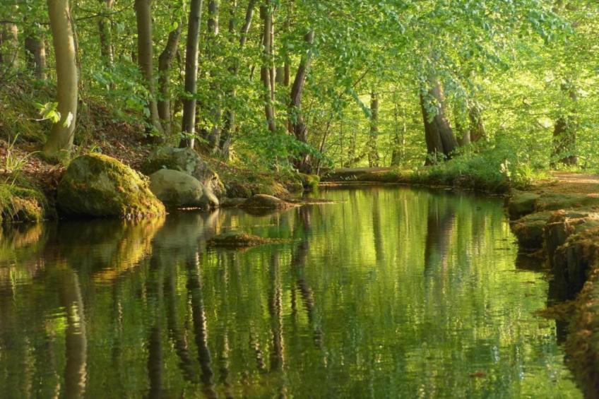 Ostseezauber XL - foto 36