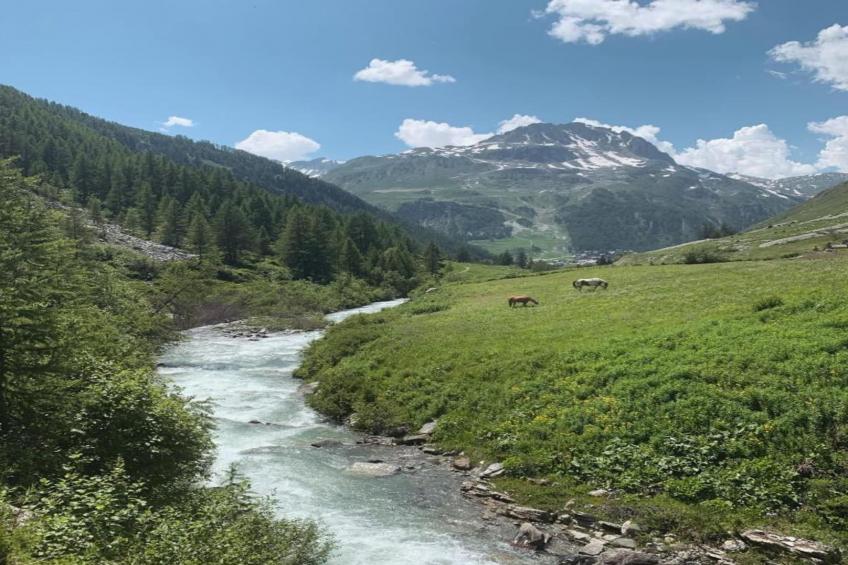 Chalet Davos - foto 18