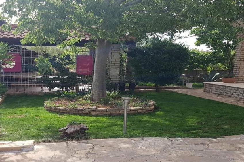 Apartments Snježana Carev  - Studio Apartment with Terrace A-1 - foto 14