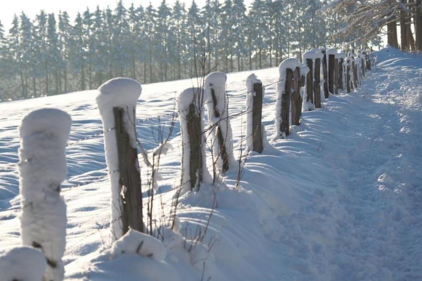 Exklusives Ferienhaus mit Terrasse und Garten - foto 39