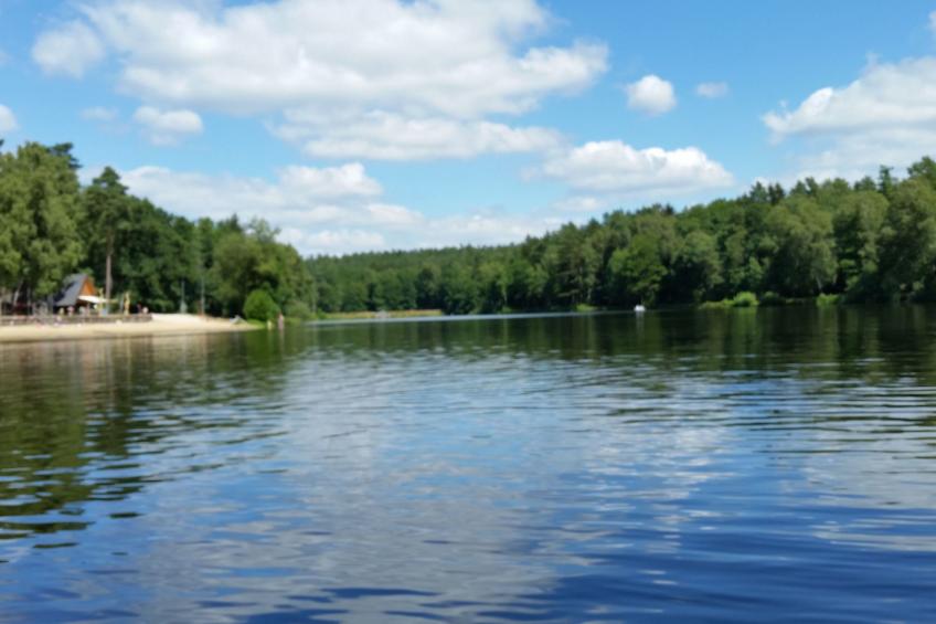 Heidebungalow - foto 29