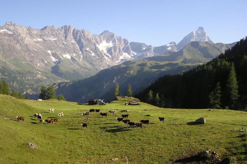 'Lo Chalet' der Balkon über dem Matterhorntal - foto 11