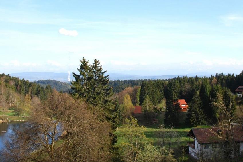 205642 - foto 3