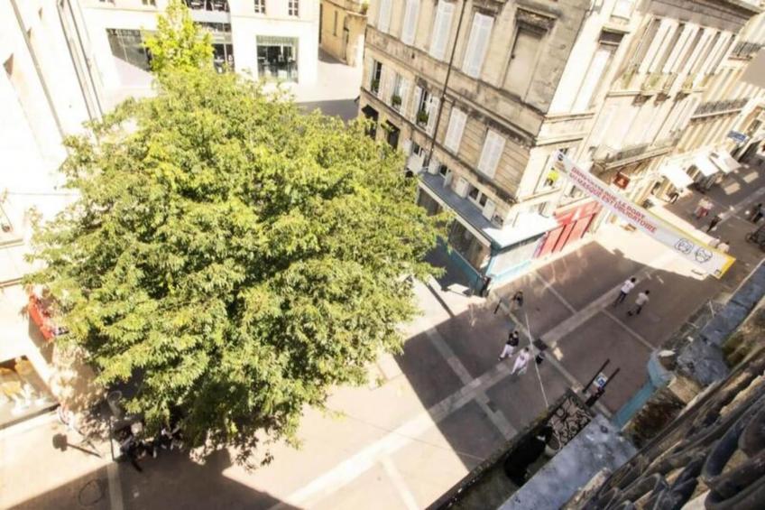 Appartement De Haut Standing Pour 6 Situé Au Coeur Du Centre Historique - foto 18