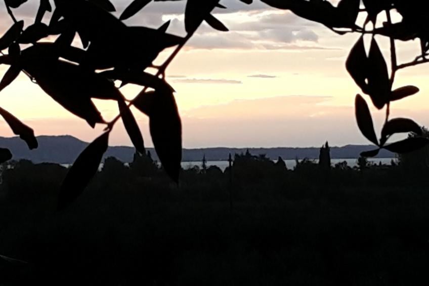 Piccola Perla - foto 7