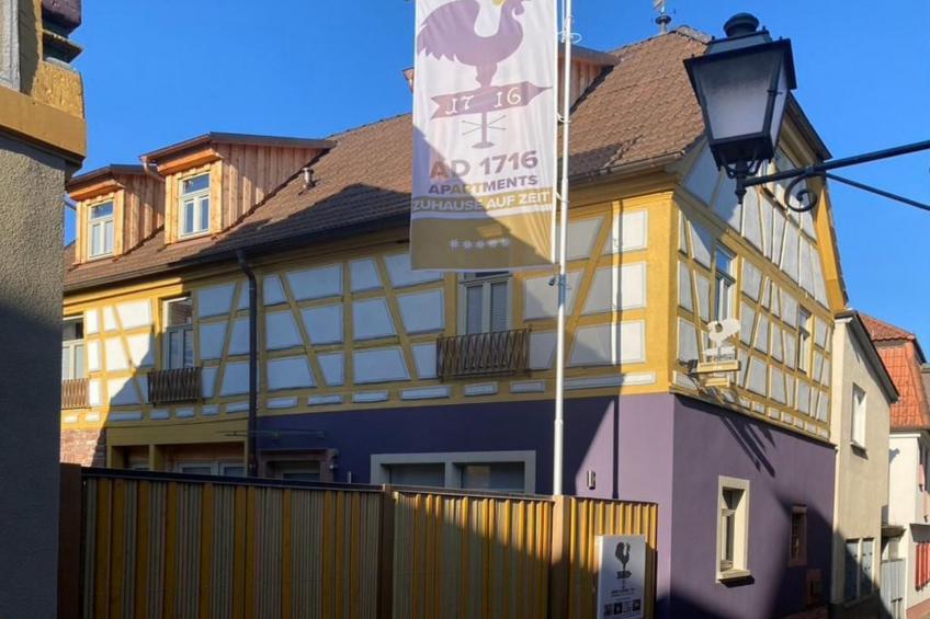 Der Tennenboden im Anno Domini 1716 - foto 8