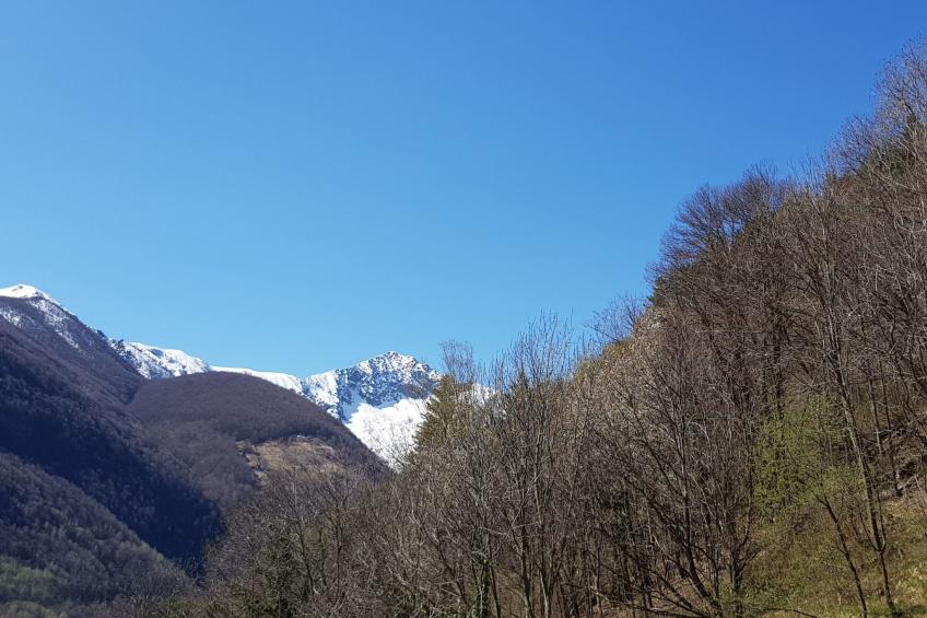 Casa Grande - foto 23