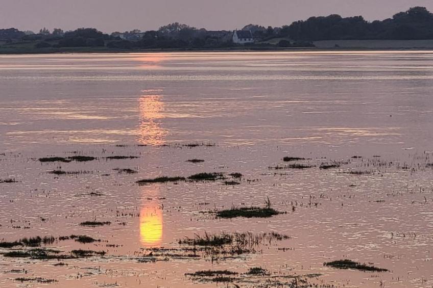 "Les Gites d'Aline" - foto 14