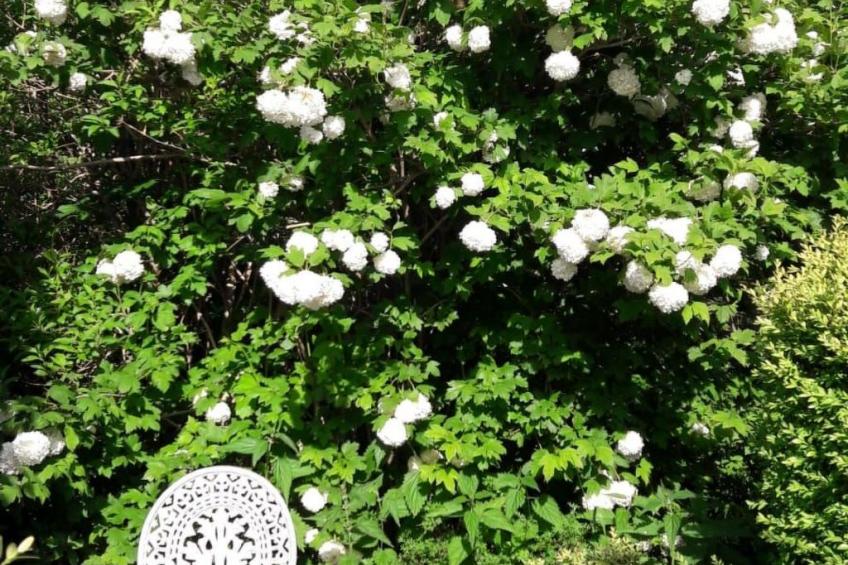 Apartment im Friesenhaus Dikhü - foto 13