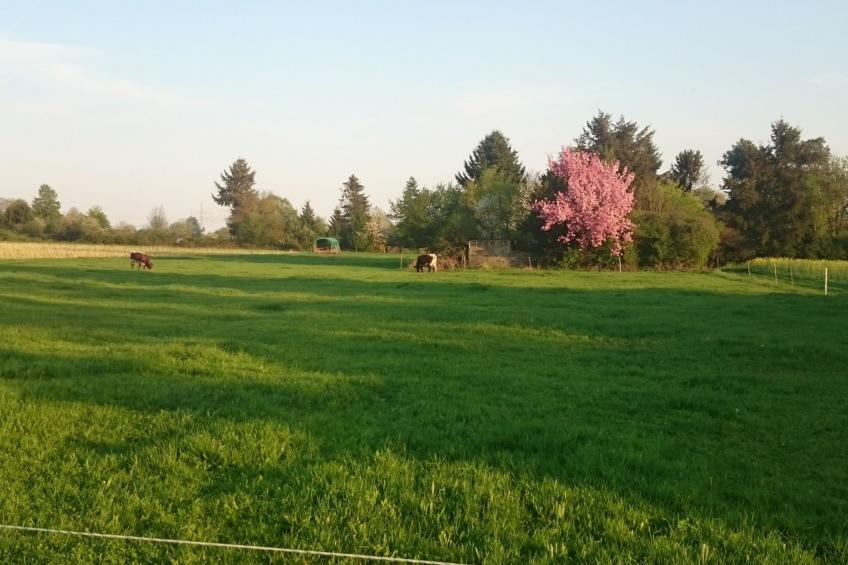 Apartment Laurence - foto 39