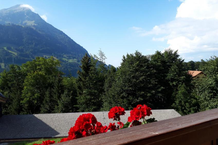 Chalet Wenger Appartement/Fewo, Dusche und Bad, WC, Balkon - foto 6