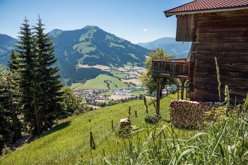 Haus Andrea Cäciel - foto 17