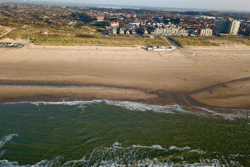 Krab aan Zee - foto 27
