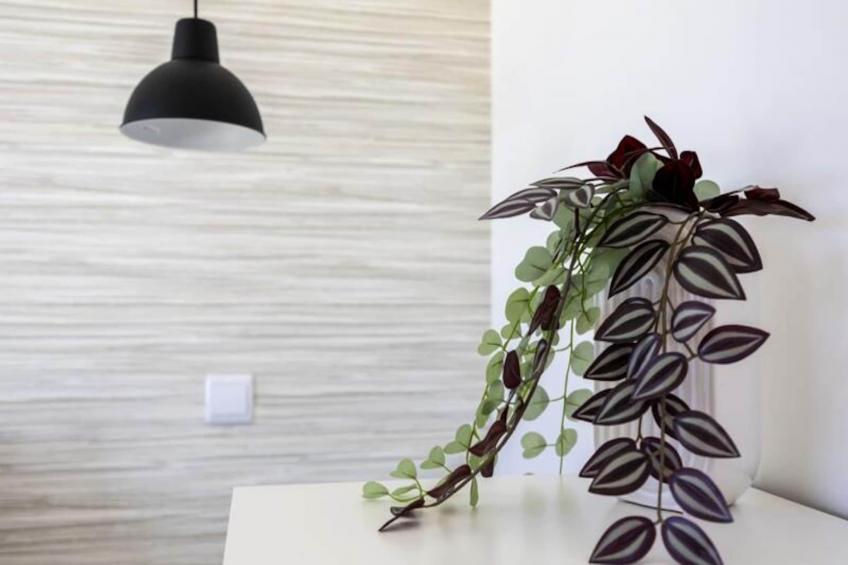 Villa Back Loop - foto 20