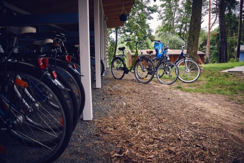 Waldhäuser - foto 15