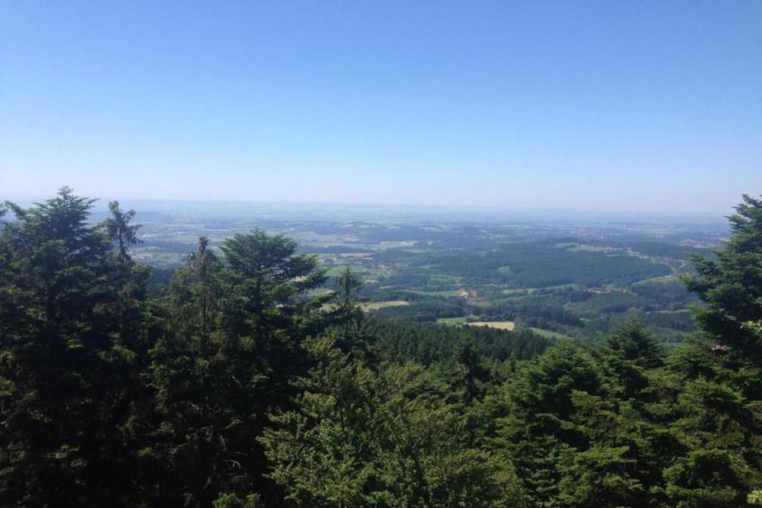 Bayerischer Wald - foto 29