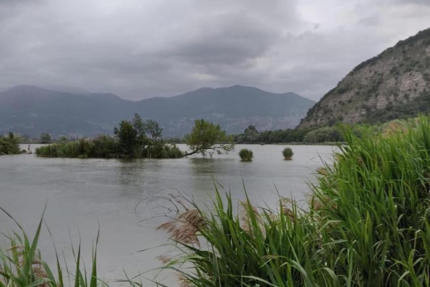 Casa dei Nonni - foto 30