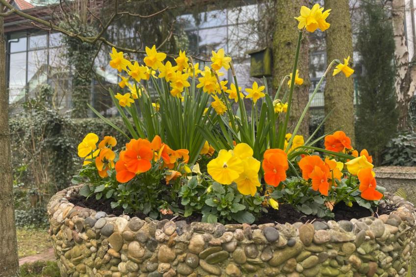 Amöneburg in Amöneburg - foto 29