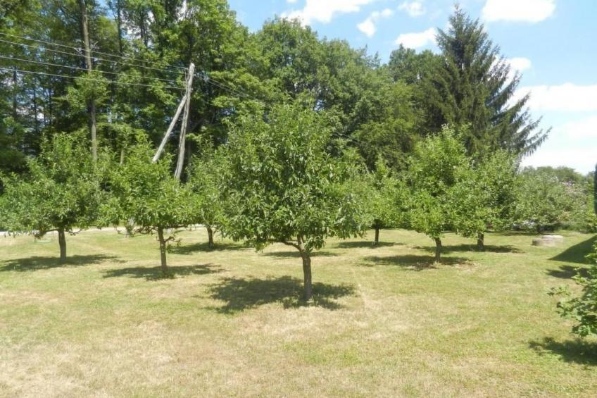 Urlaub für die Seele - Ferienhaus mit Sauna - foto 33