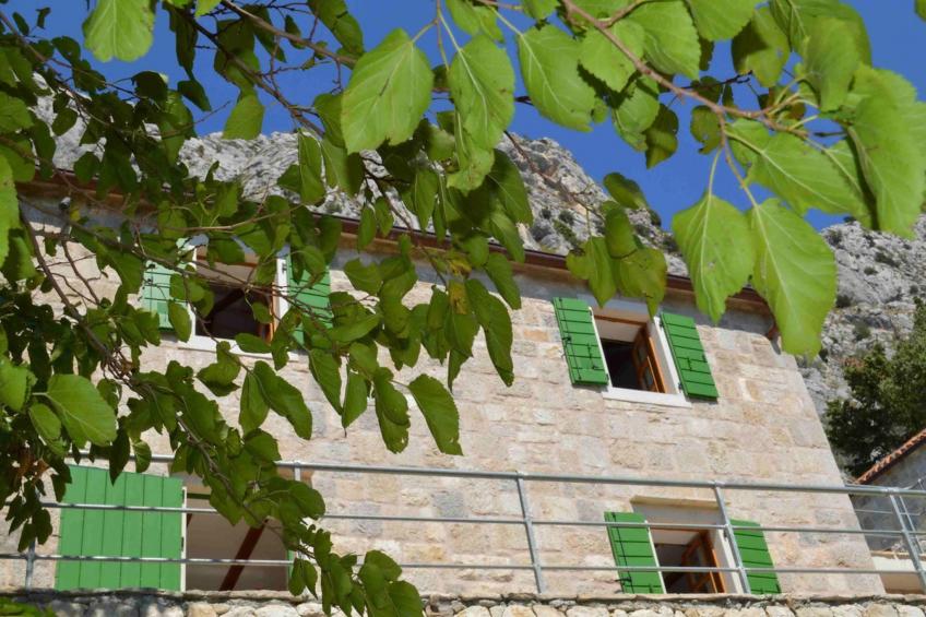 villa Frzelin - foto 15