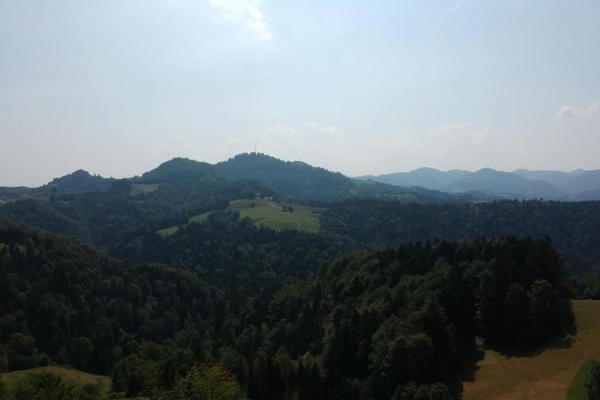 Haus am Sternsberg - foto 52