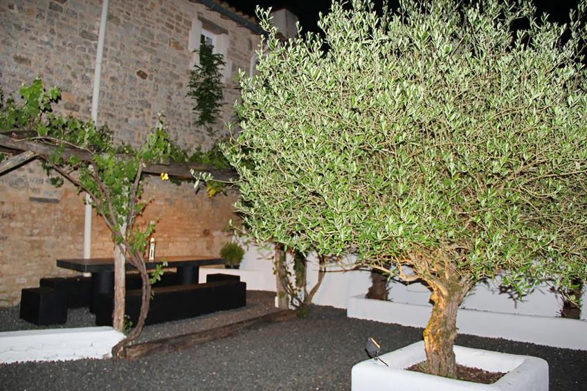 Maison fabuleuse avec piscine - foto 39