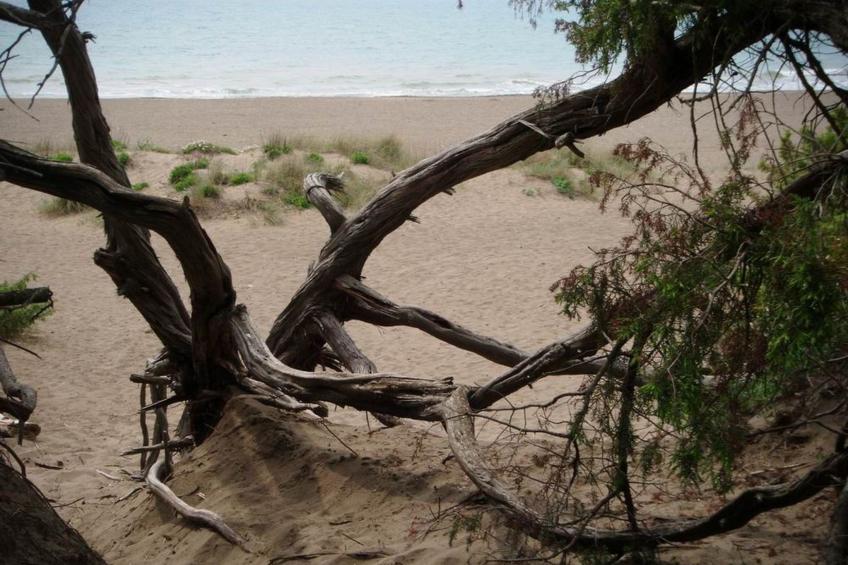 Rosa Peonia' Wohnung mit Terrasse - foto 28