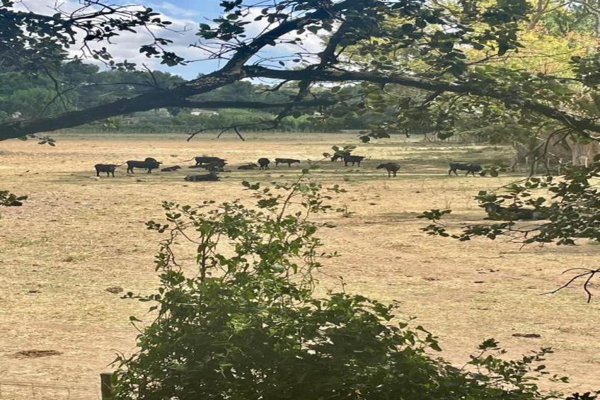 Résidence Le Mas des Alpilles - foto 38