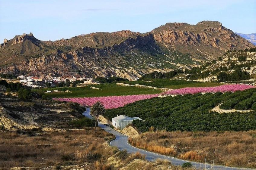 Domicilio de Vida - foto 51
