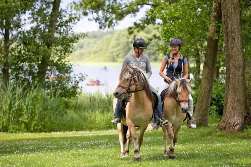 Eisvogel Classic 302 - foto 30