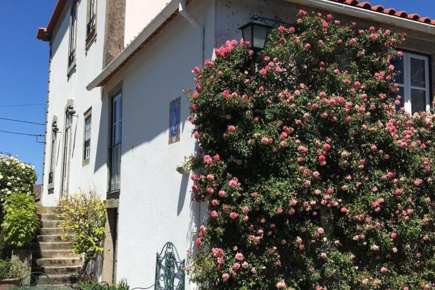 Villa mit rustikalem Charme in Afife - foto 3