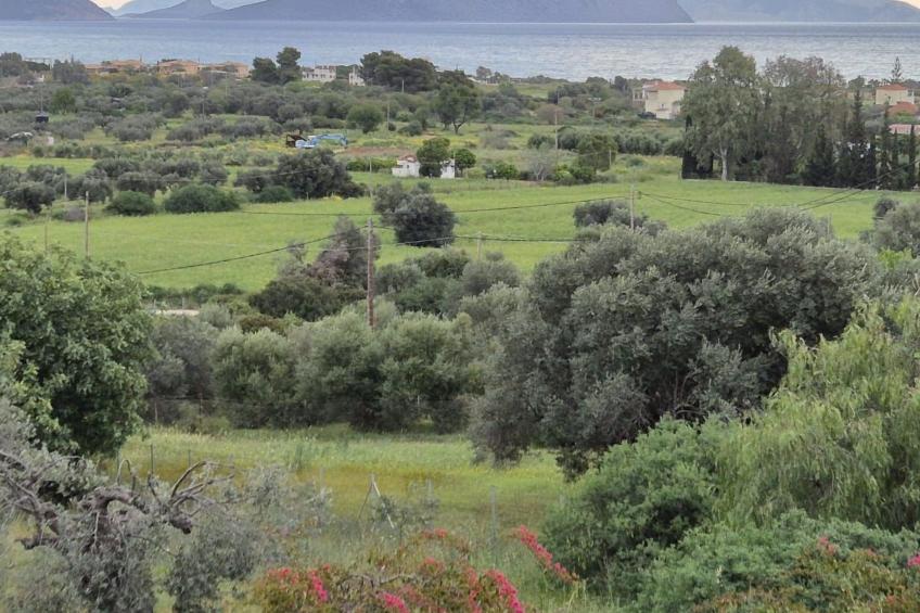 Villa Newlands, Porto Cheli - Meer und Berge. - foto 11