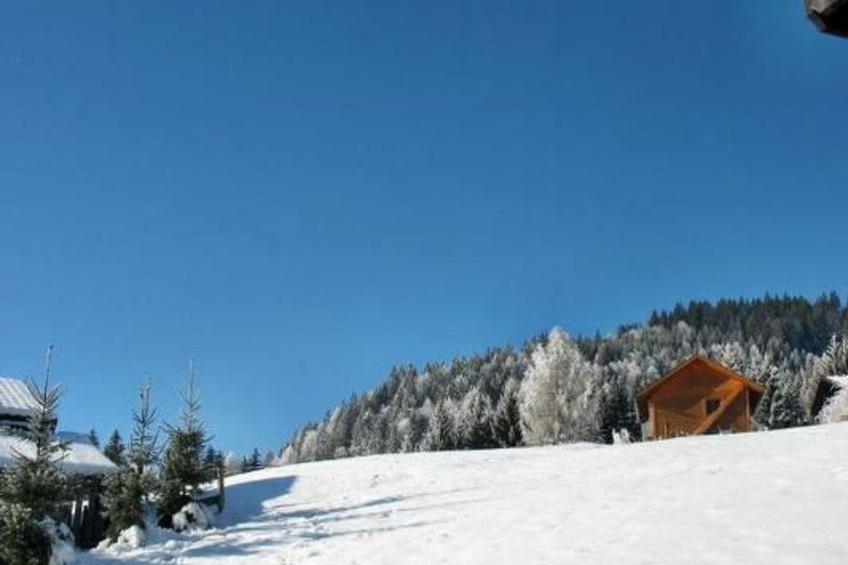 in Gnesau mit Grill - foto 14