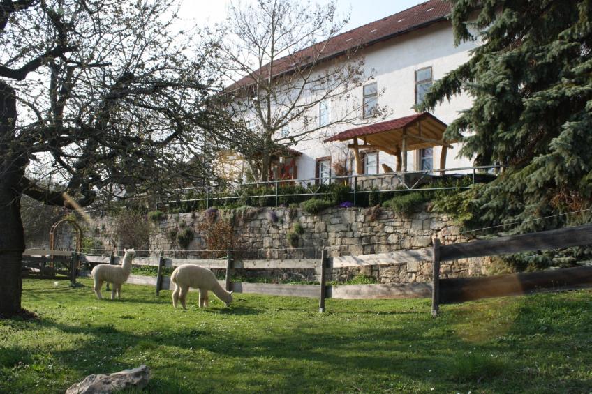 Kleine Fewo - foto 22