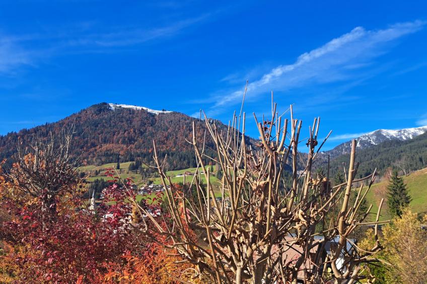 Appartement 1 - foto 16