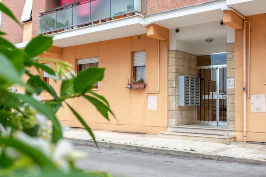 Conero Bluloft - foto 25