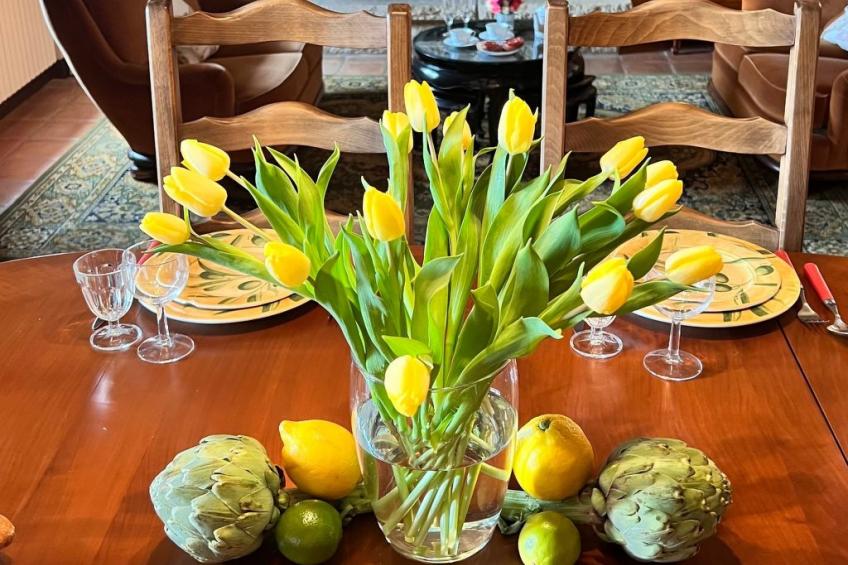 VILLA TRO NAOD - foto 41