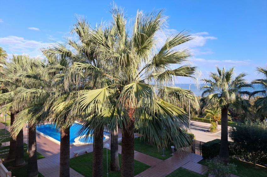 Wohnung Stella, 1. Reihe Meerblick und Palmen - foto 2