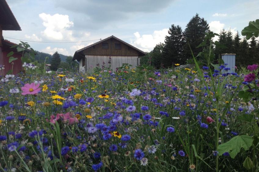 Kräuterhof-Ferienwohnung - foto 18