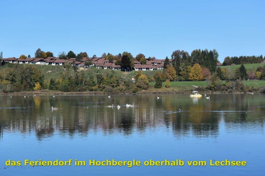 46287 - foto 25