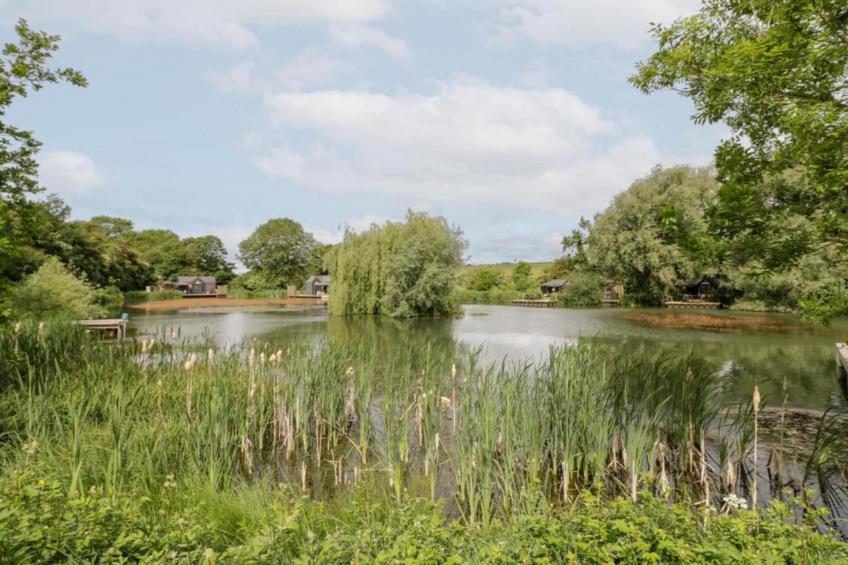 The Campion - foto 28