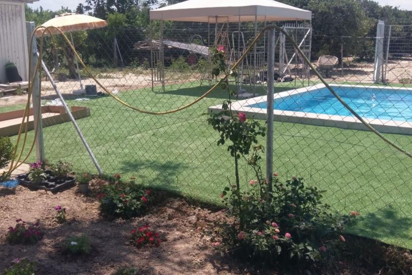 neben Orangenbaum-Obstgarten - foto 20