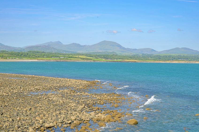 Forest Lodge - foto 22