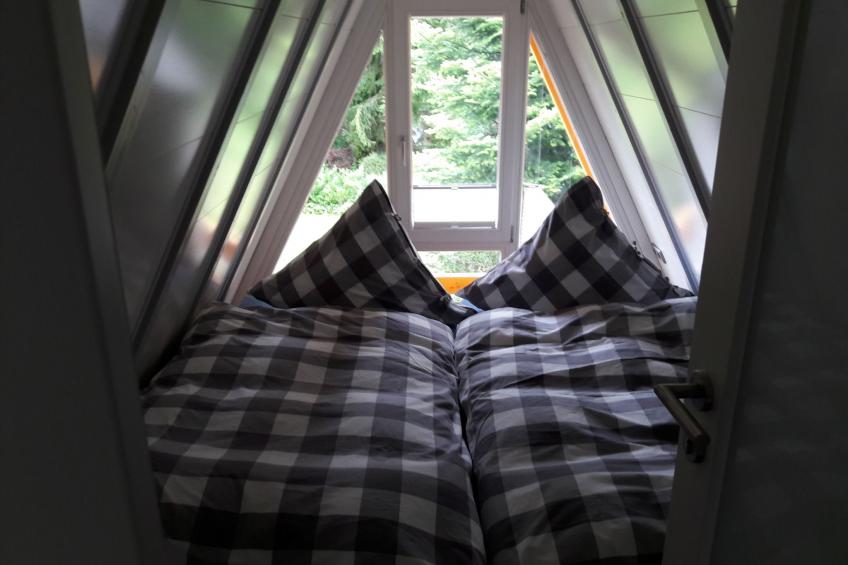 Freistehendes Nurdachaus im Ferienpark Schellbronn - foto 5