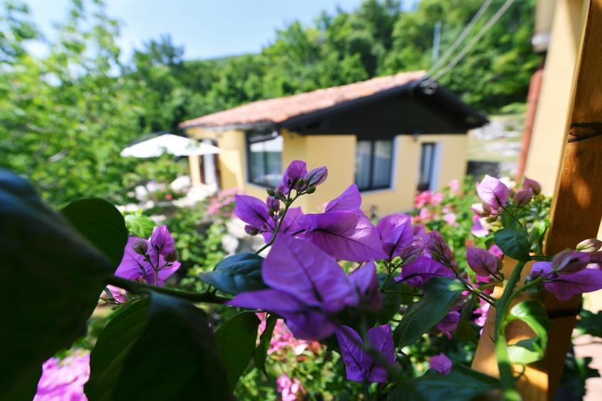 Charming Holiday Home with Terrace and Garden - One Bedroom Holiday Home - foto 22