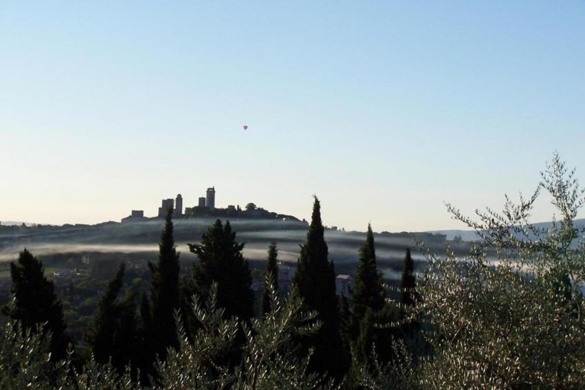 Muleti 2 - foto 26