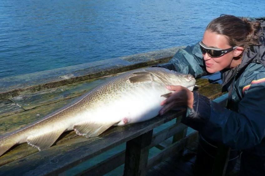 Meløy Naturopplevelser Tømmervik - foto 28