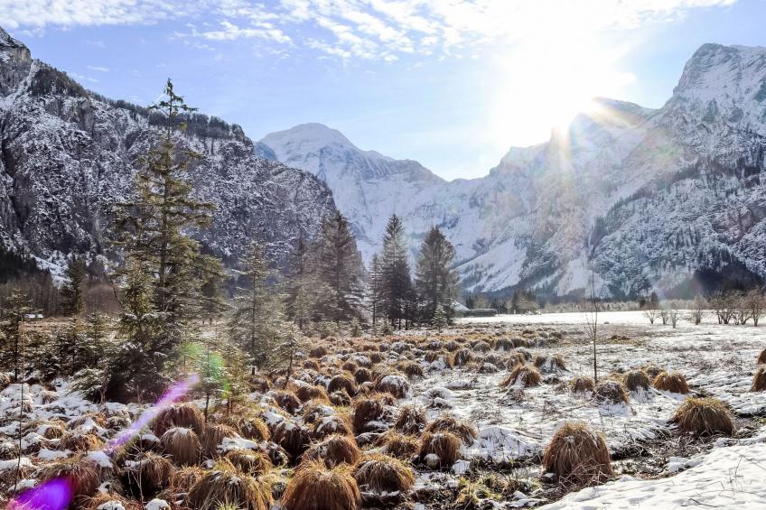 Spatzennest - foto 31