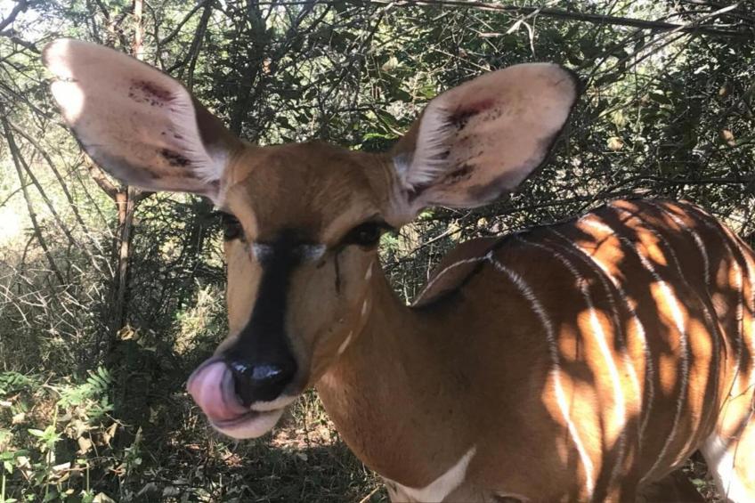 Villa Lanterfant - foto 31