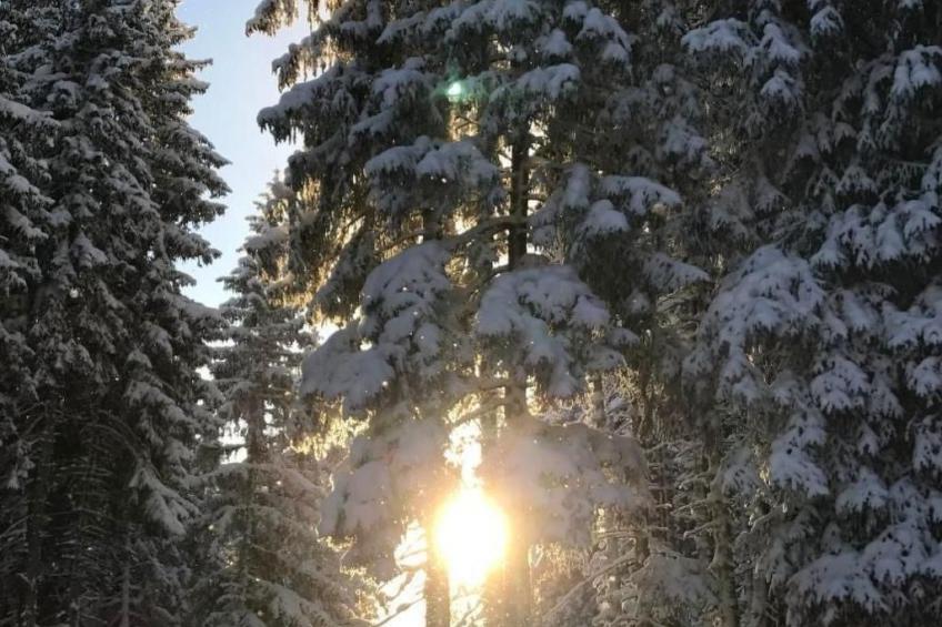 Wohnung Schluein - foto 27